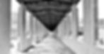 oscar-home-01_0_edited.jpg
