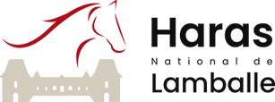 logo.png