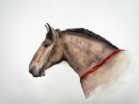 Cheval de trait Breton
Haras Nationaux
Portrait sur commande
Portrait aquarelle
Portrait équestre
Portrait équin
Portrait cheval