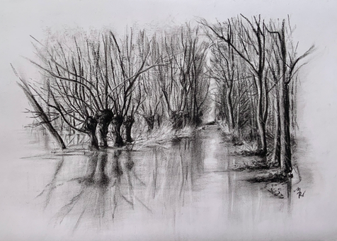 Marais poitevin
Fusain
Œuvre sur commande