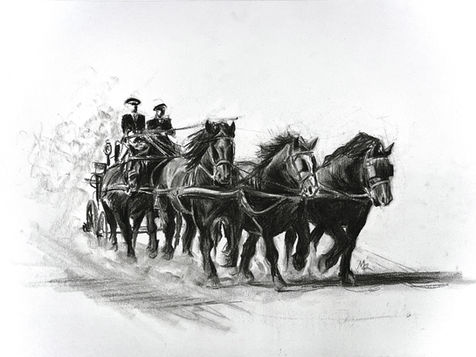 Cheval de trait Breton
Haras Nationaux
Portrait sur commande
Portrait aquarelle
Portrait équestre
Portrait équin
Portrait cheval
Attelage 
Attelage en arbalette