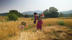 DJI_0221.00_24_56_25.Still003