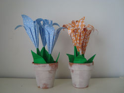 Macetas Lirios