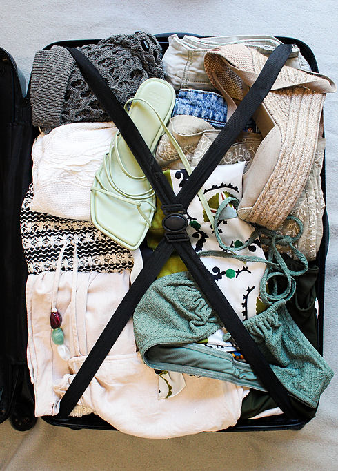 suitcase edit 1_edited.jpg