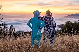 Onesies