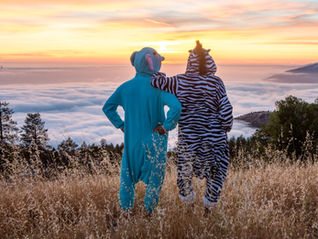 運彩圈的朋友(示意圖)