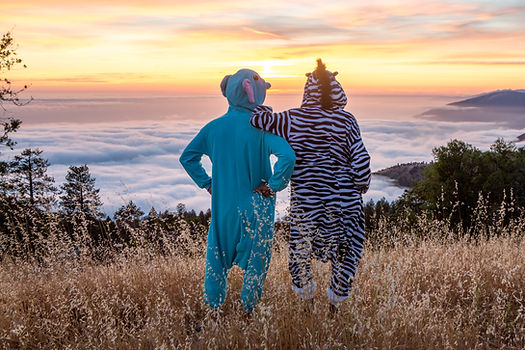 Animal Onesie Sunset