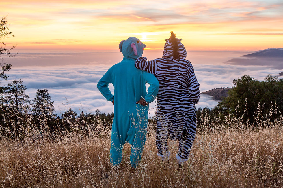 Onesies