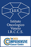 logo IOV oeci (2) (2).png