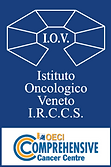 logo IOV oeci (2) (2).png