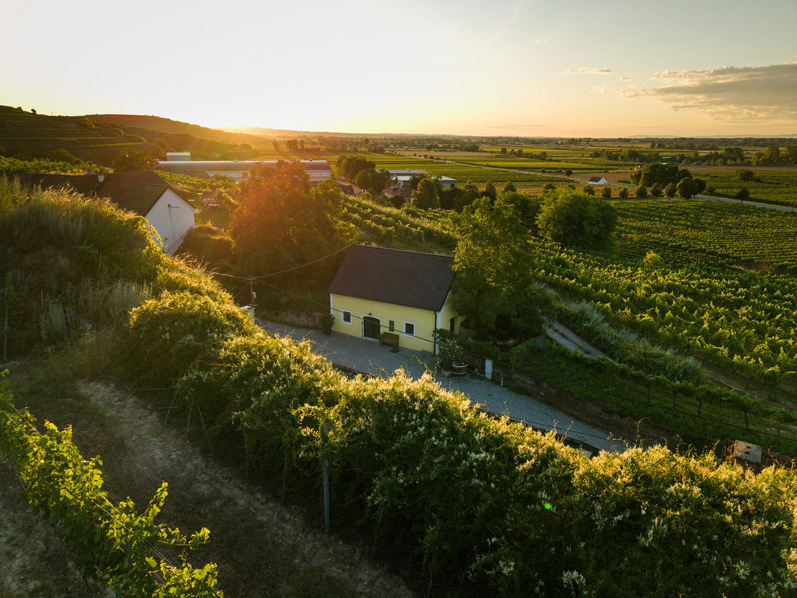 Weinklub 10 Rohrendorf, Weinlager, Weinkeller