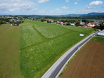 Baugrund Sierning, Oberösterreich