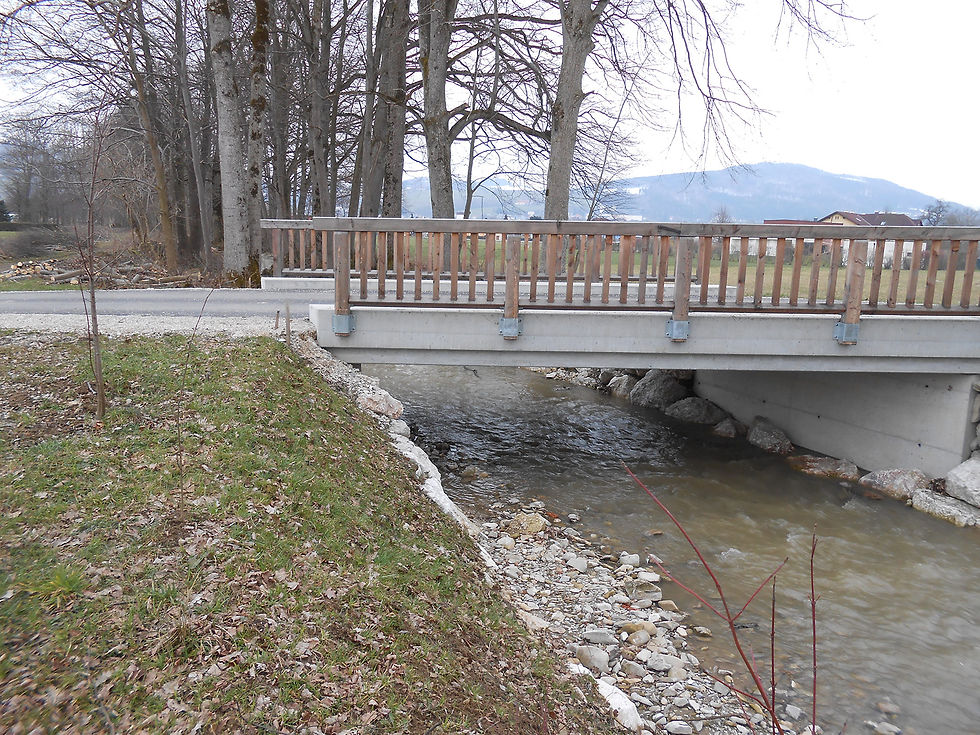 Güterwegbrücken und Straßenentwässerung