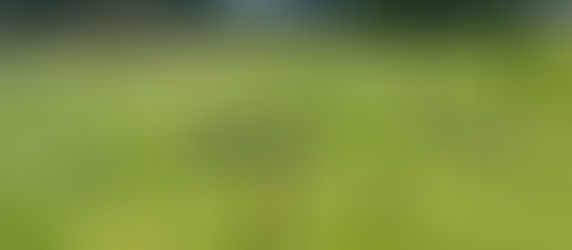 FREILUFTSAISON MIT SOCCERGOLF, ZIESELFAHREN, EVENTS UVM.!