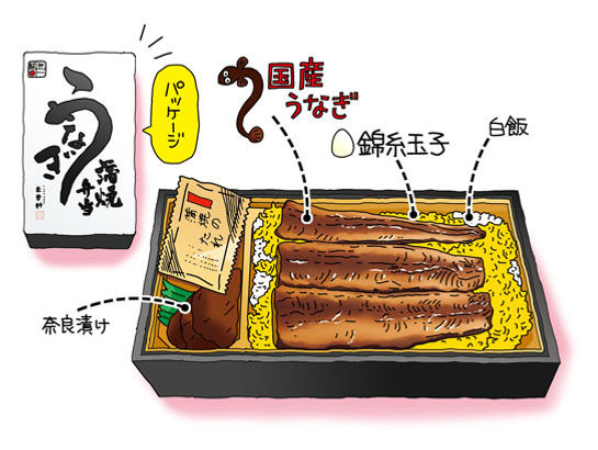うなぎ蒲焼弁当 駅弁イラスト