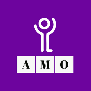 AMO Sample Papers | Aryabhatta Maths Olympiad