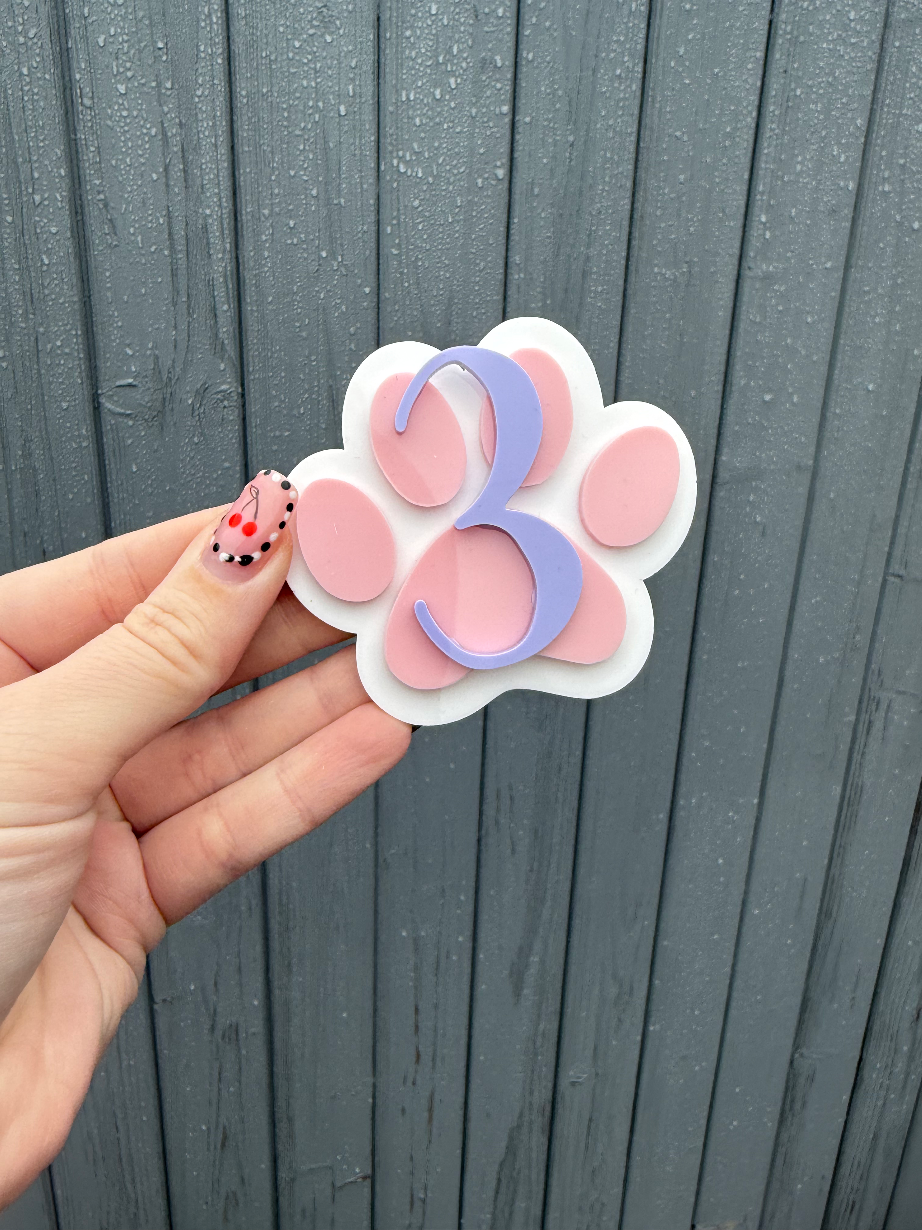 Pastel Paw Patrol Paw With Age
