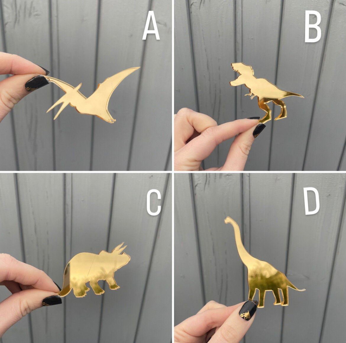 Golden dinosaur shapes: Pterodactyl, T-Rex, Triceratops, Brachiosaurus.