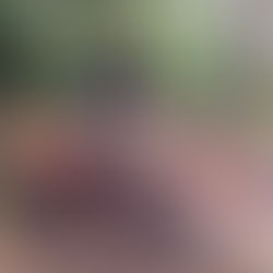 Trädtrolleri - motorsågskonst PÅ 4H GÅRDEN