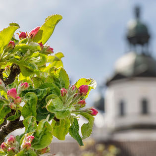Helgöppet i maj på Skoklosters slott
