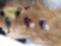 IMG_9143.jpeg
