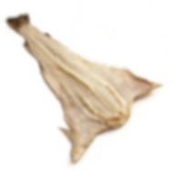 pngegg (10).png