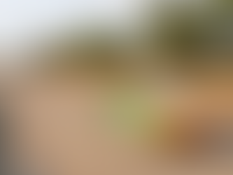 Making and Racing a Solar Powered Car - The Journey to Australia 