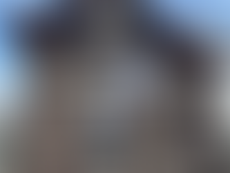 Squatters Voluntarily Leave Historical Building in Groningen After Protest, Police Finds