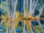 Robinson Pond Reflection