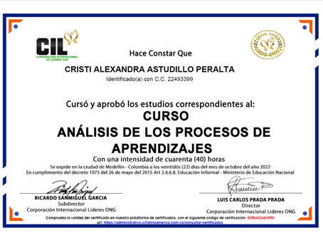 Cursos y diplomados en Psicología Educativa
