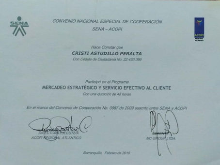 Formación SENA-ACOPI Mercadeo estratégico y servicio efectivo al cliente-2009