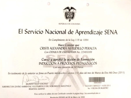FORMACIÓN INDUCCIÓN A PROCESOS PEDAGÓGICOS SENA. 2011