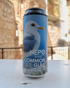 NEPOMUCEN COMMON GULL