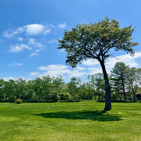 IMG_2319 3のコピー.JPG