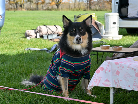 🏕️✨【大盛況御礼】秋のツルサトフェスタ 10/25・26 無事終了！最高の秋の思い出をありがとう！✨🍂