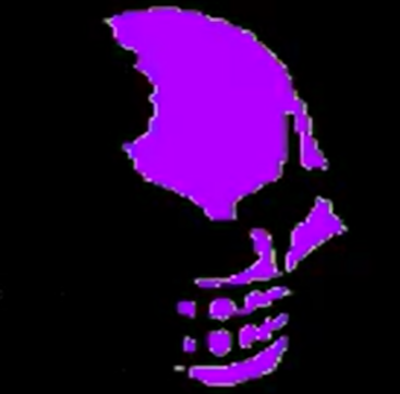 Shop Link content media