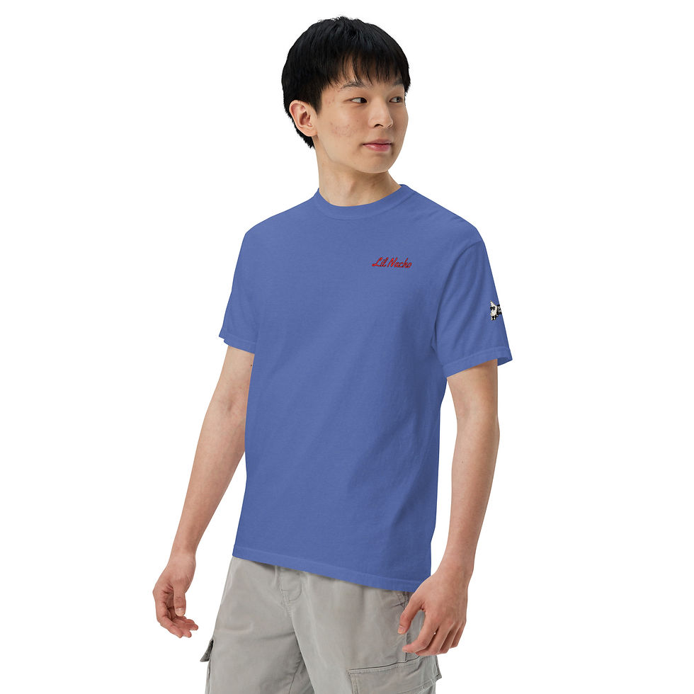 Thumbnail: Lil Nacho / Chip Against Cancer / Garment-dyed heavyweight t-shirt