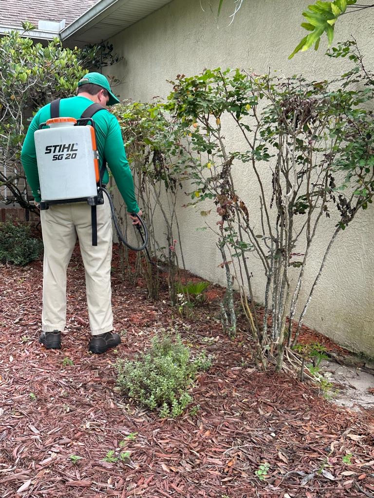 tom spraying outside