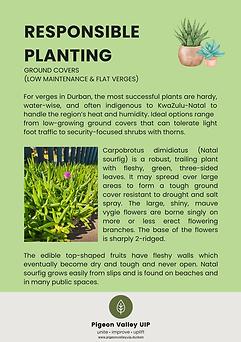 Responsible planting.png