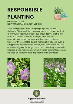 Responsible planting 2.png