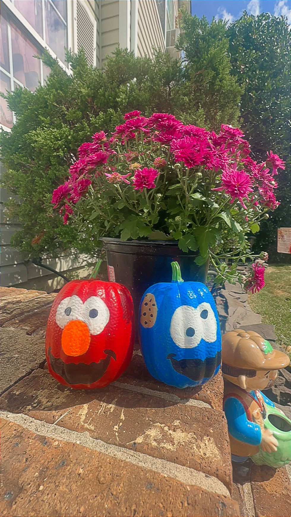 Thumbnail: Elmo & Cookie Monster mini painted pumpkins 