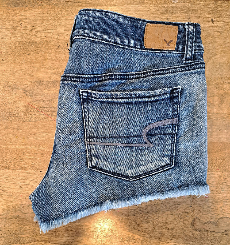 Thumbnail: American Eagle Shorties 