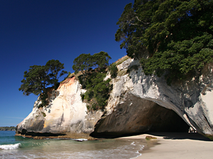 Why You Need to Plan Ahead for a New Zealand Trip in 2026 & 2027