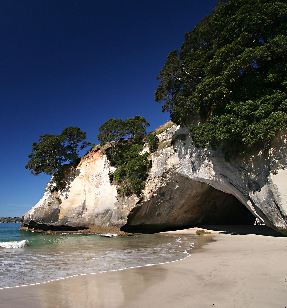 Cathedral Cove