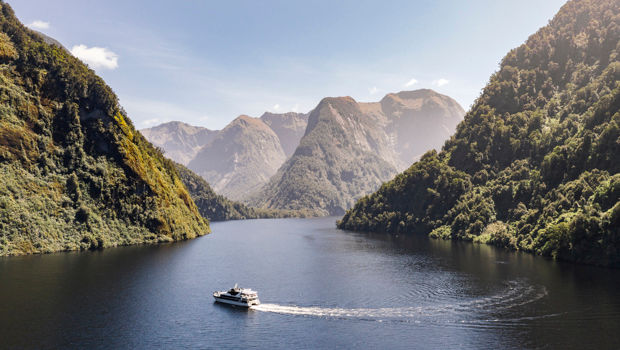 Planning a Trip to New Zealand? 