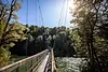 Kepler Track.webp