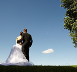 Wedding Day