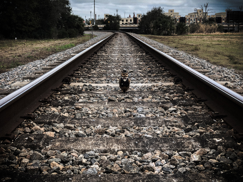 Dreaming and Wandering