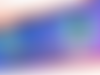 How to check the parameters of a right WordPress development company?