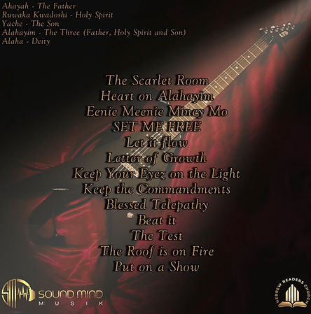 The Scarlet Room Back Cover.jpg